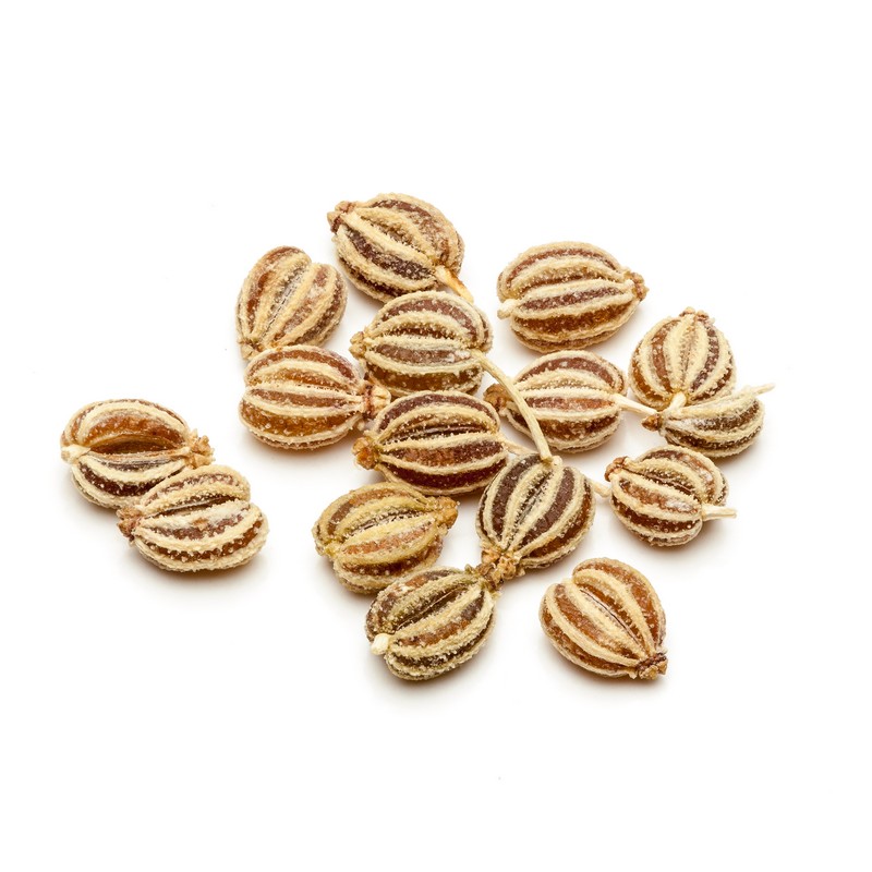 Huile essentielle d'Ajowan comment l'utiliser correctement