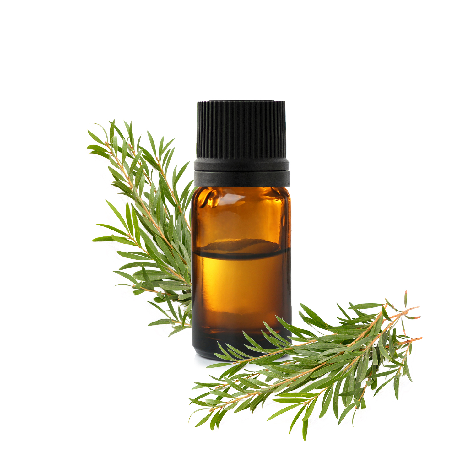 Huile essentielle de Tea Tree : comment l'utiliser correctement ?