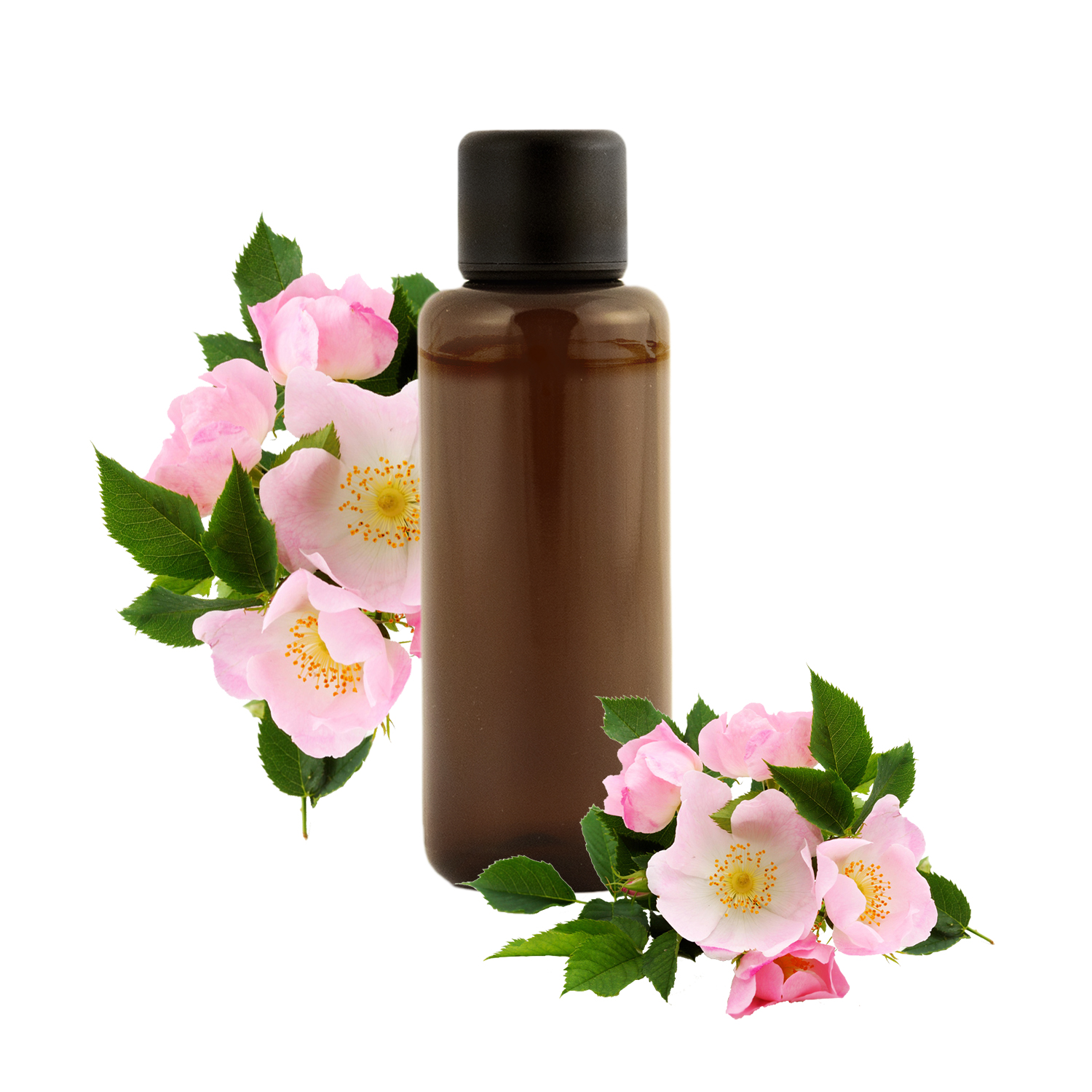 Qu'est-ce que le Bois de Rose ? Origine, Bienfaits et Posologie