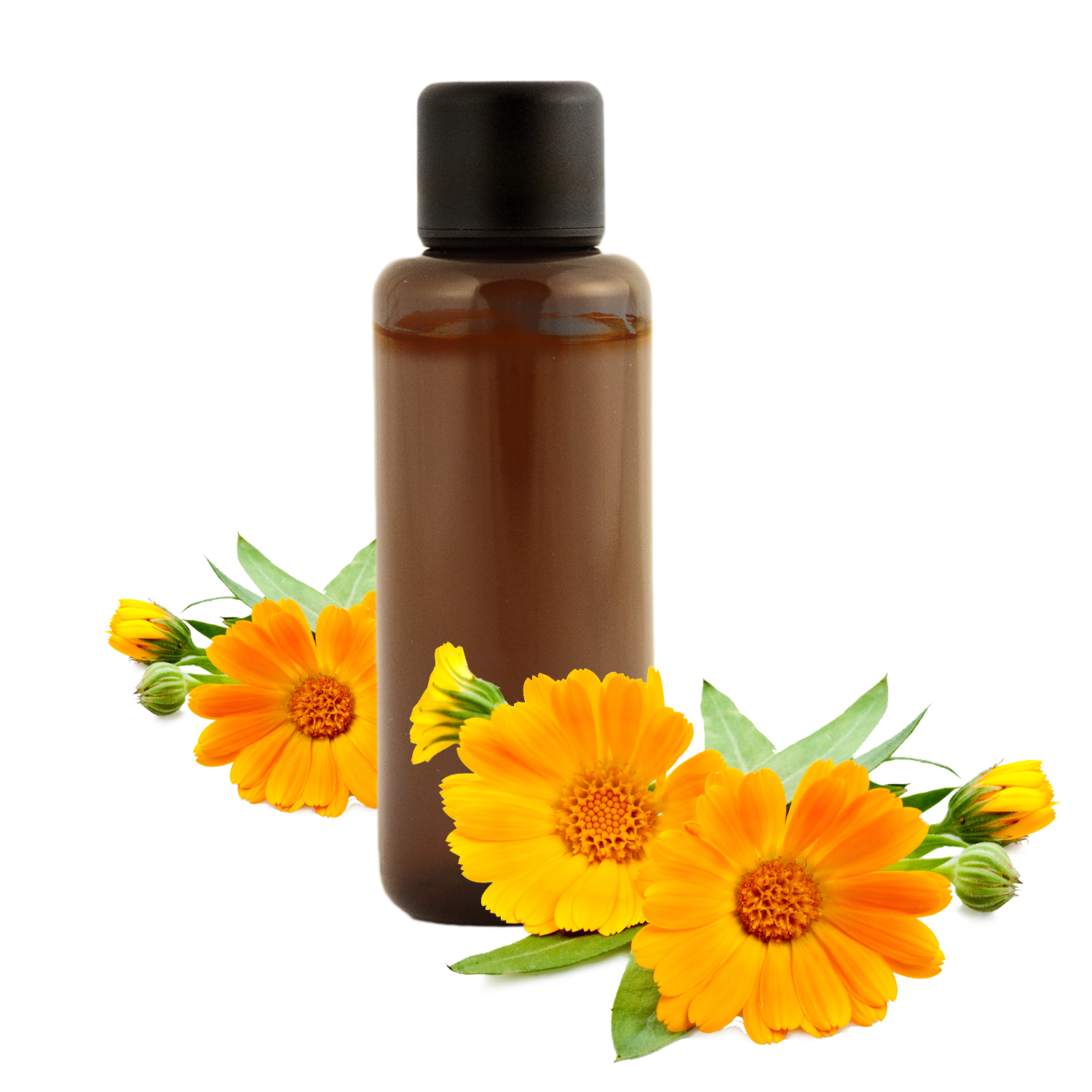 Macérât huileux de Calendula : bienfaits et utilisations en cosmétique  naturelle