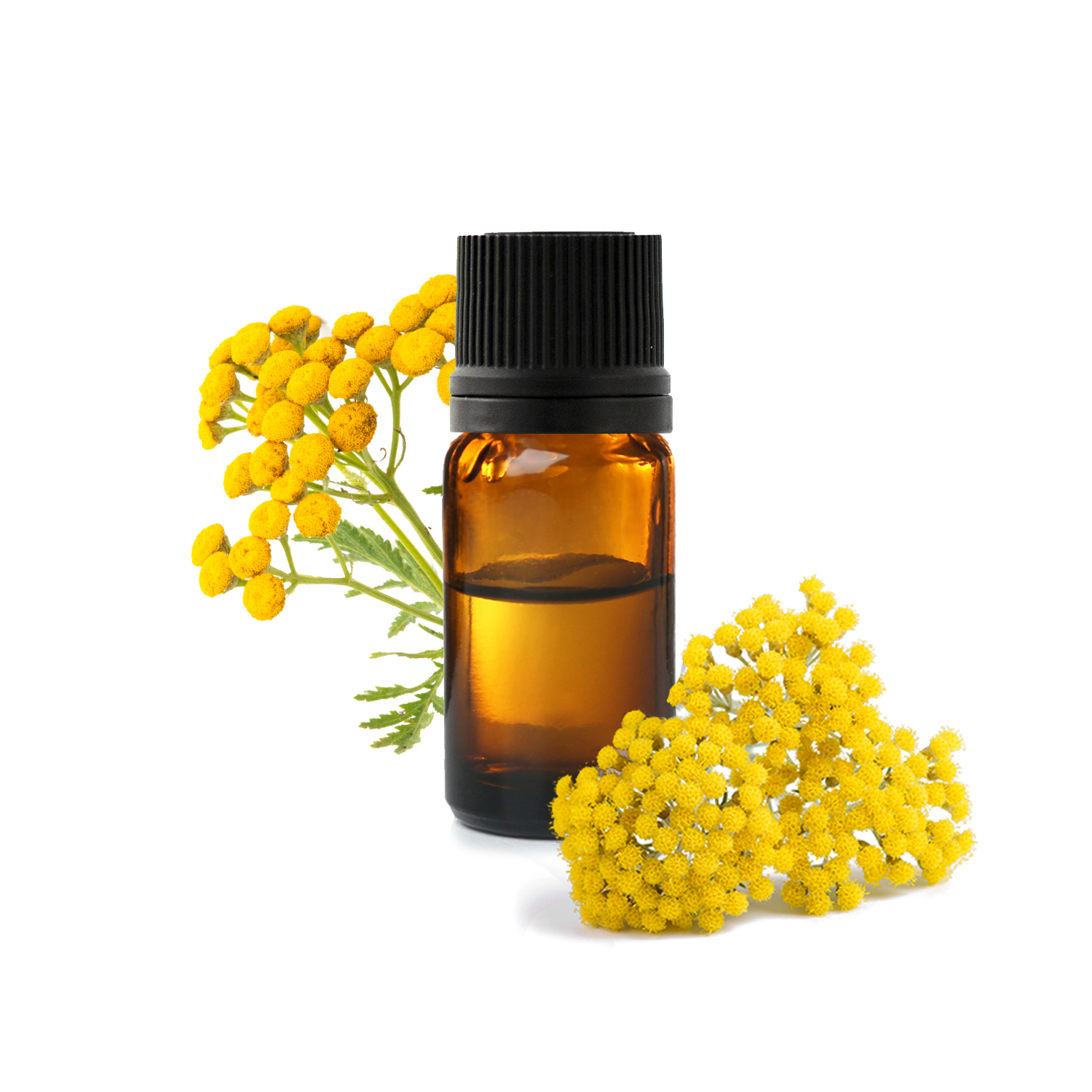 Huile essentielle - Hélichryse italienne biologique (Helichrysum