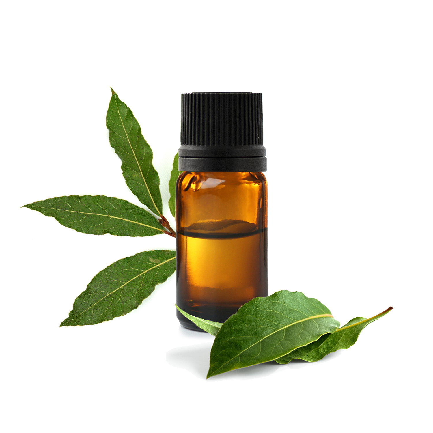 L'huile essentielle de tea tree : quelles sont ses vertus ?