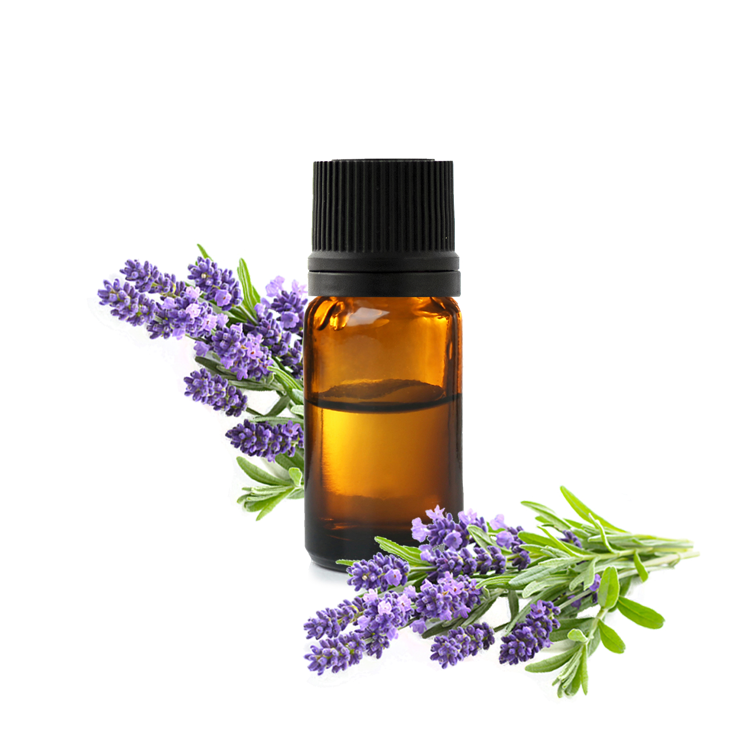 Huile essentielle Lavande aspic (Lavandula latifolia) – Lotus Aroma