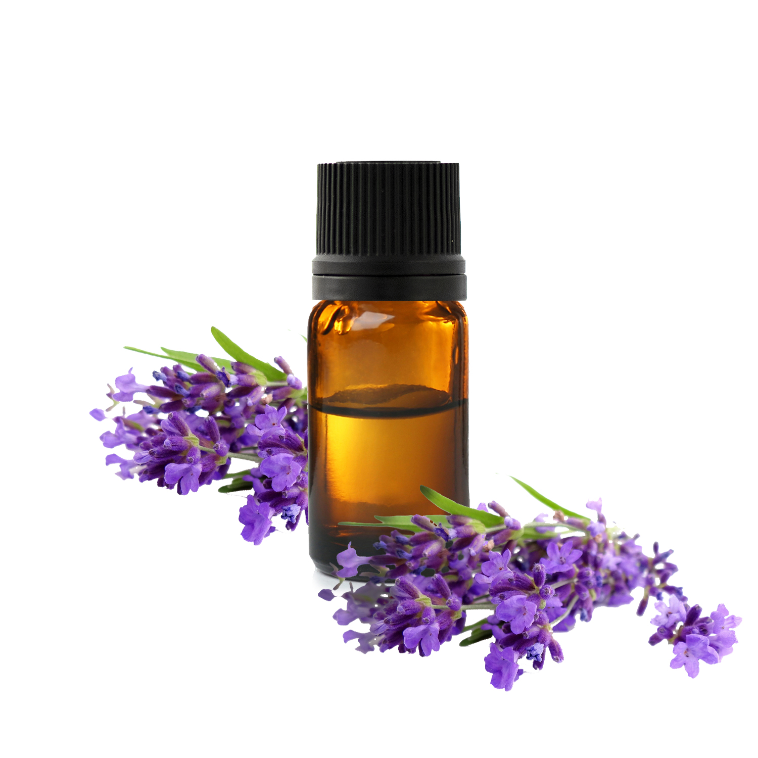 Huile essentielle bio de Lavande fine (Lavandula officinalis)