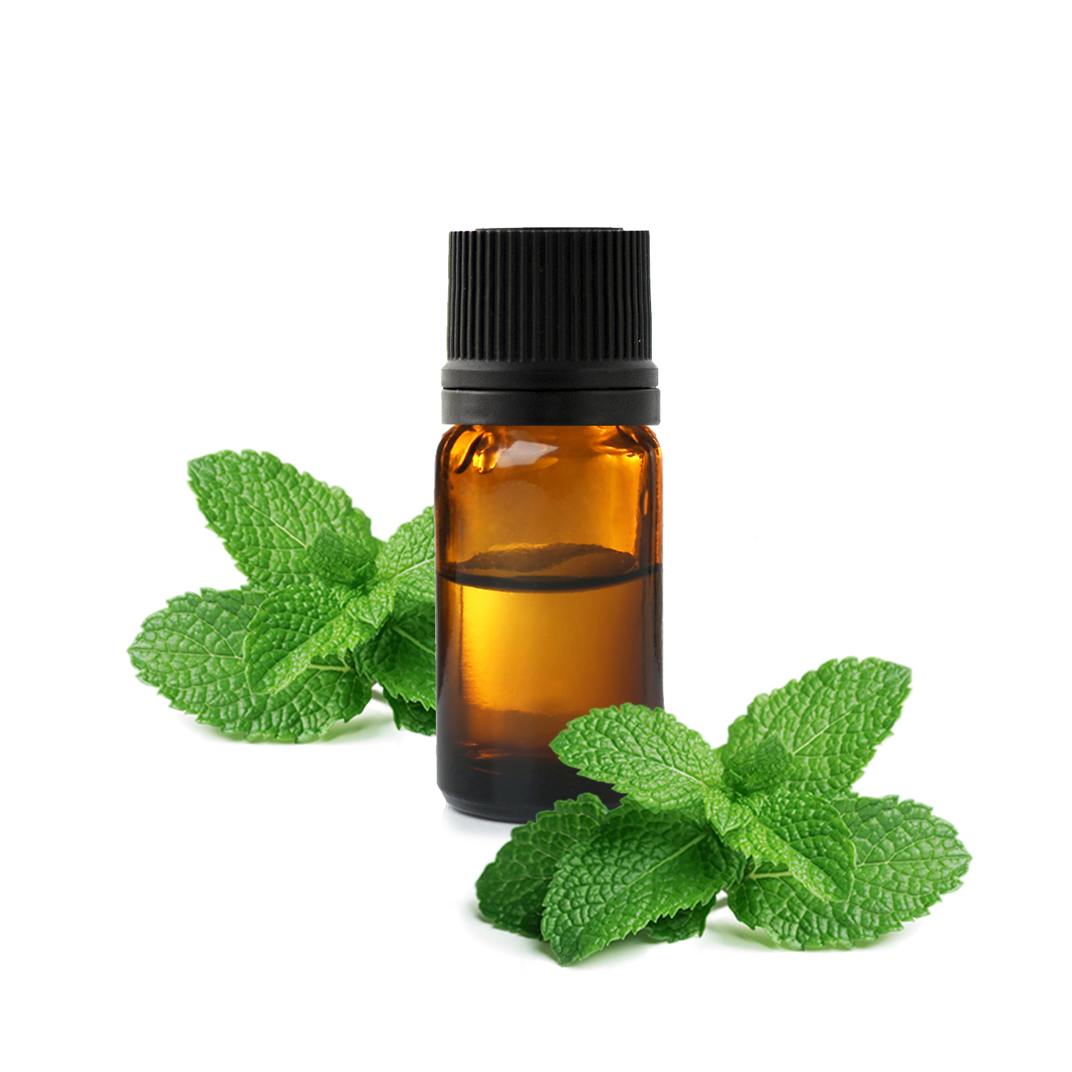 Menthe poivrée Bio - Huile essentielle