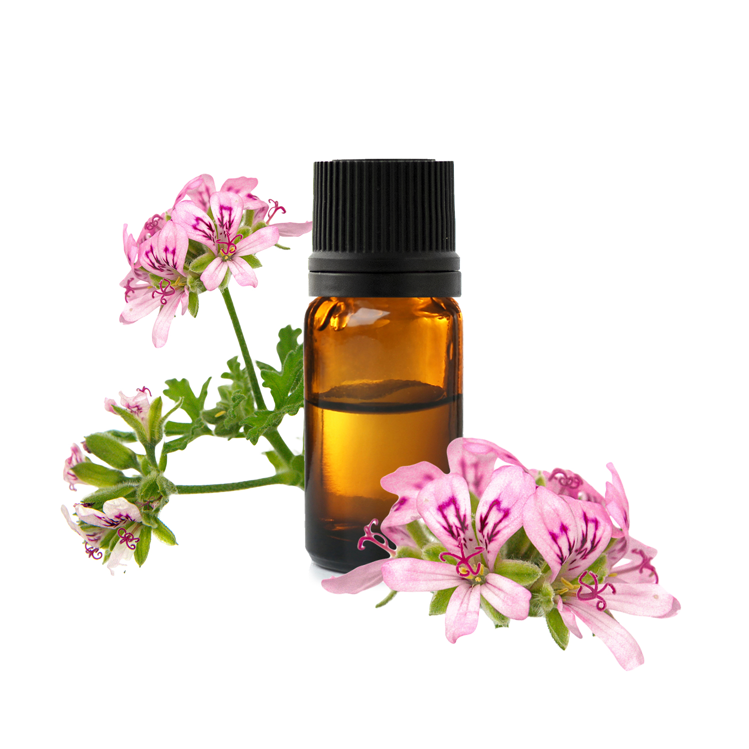 Huile essentielle de Géranium rosat bio - Fleurance Nature