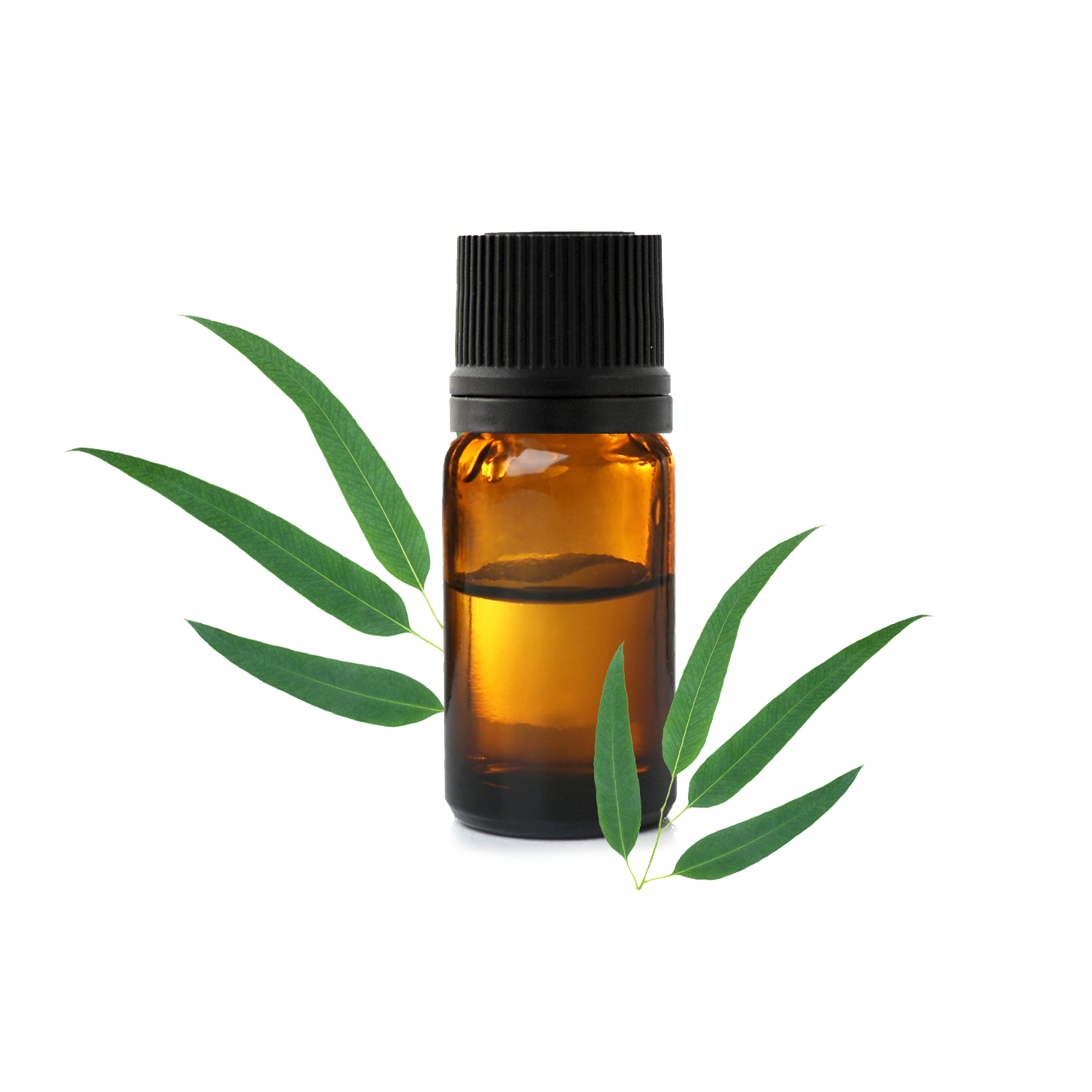 Huile Essentielle d'Eucalyptus Smithii Biologique 10ml : Assainissante,  Revitalisante