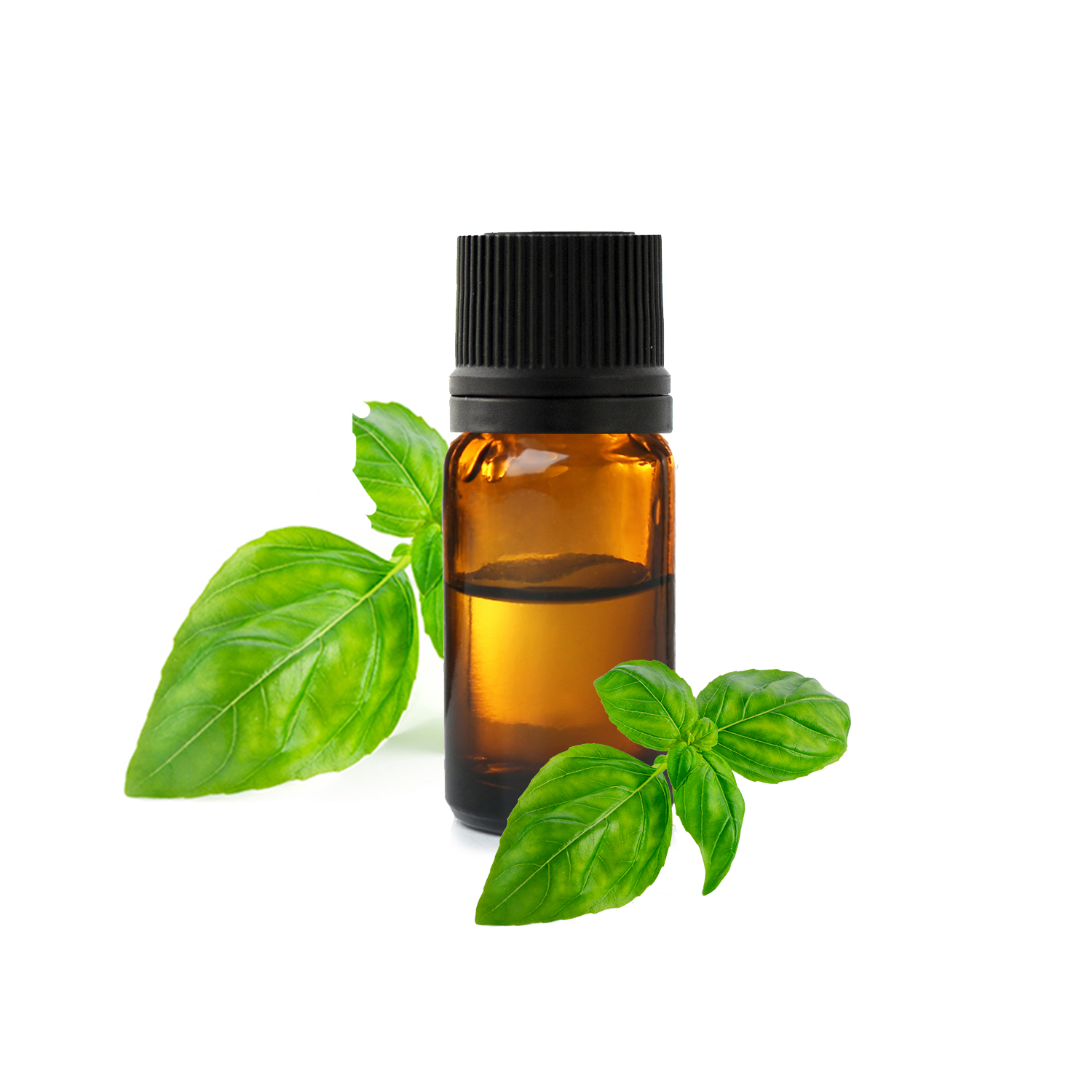 Extrait de menthe poivrée Menthe poivrée Huile de massage d'huile pour  l'Aromathérapie - Chine Extraire l'huile de menthe poivrée et menthe  poivrée Huile de Massage Huile de massage prix