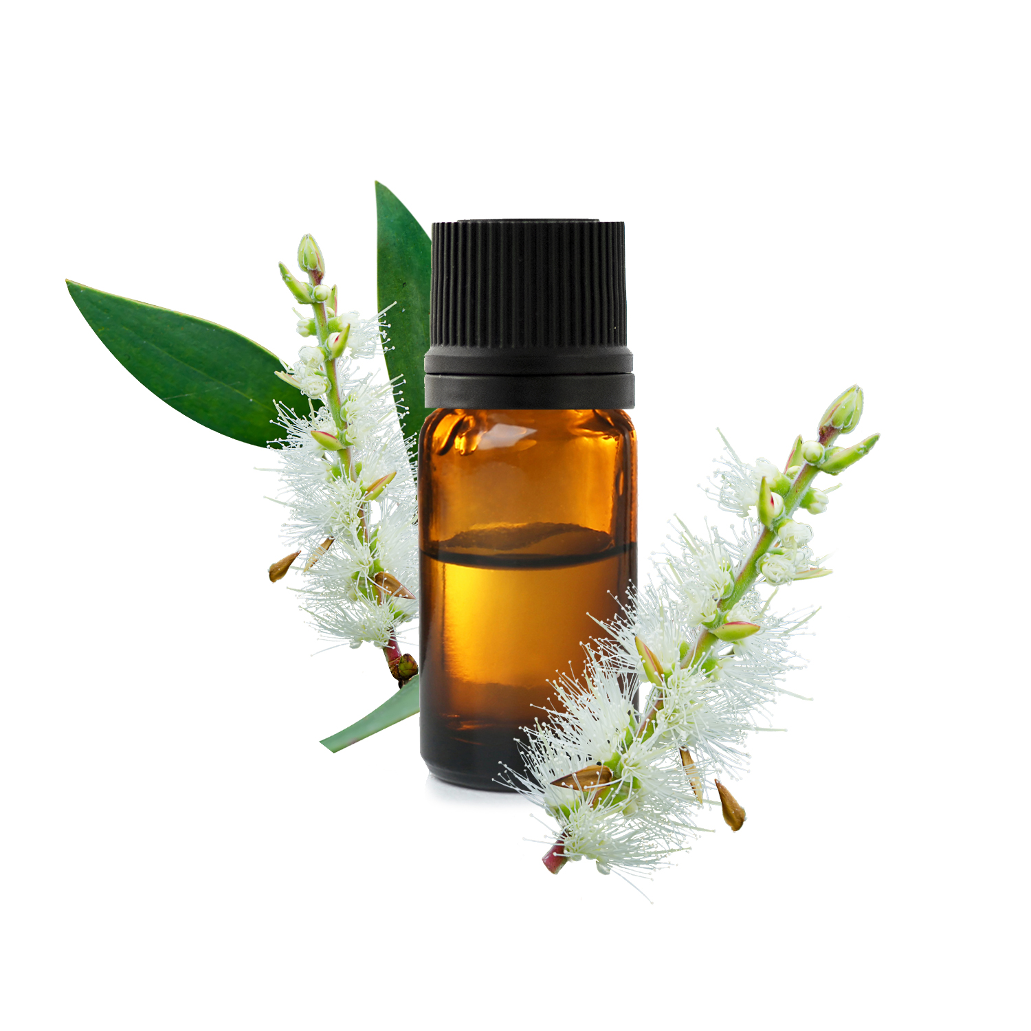 Huile essentielle de Tea Tree : comment l'utiliser correctement ?