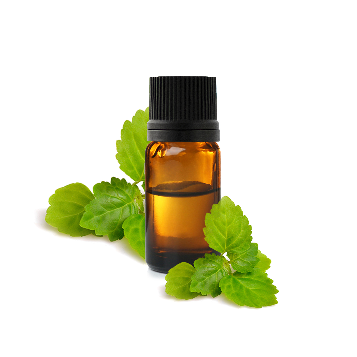 Huile essentielle de Menthe Verte : comment l'utiliser correctement ?