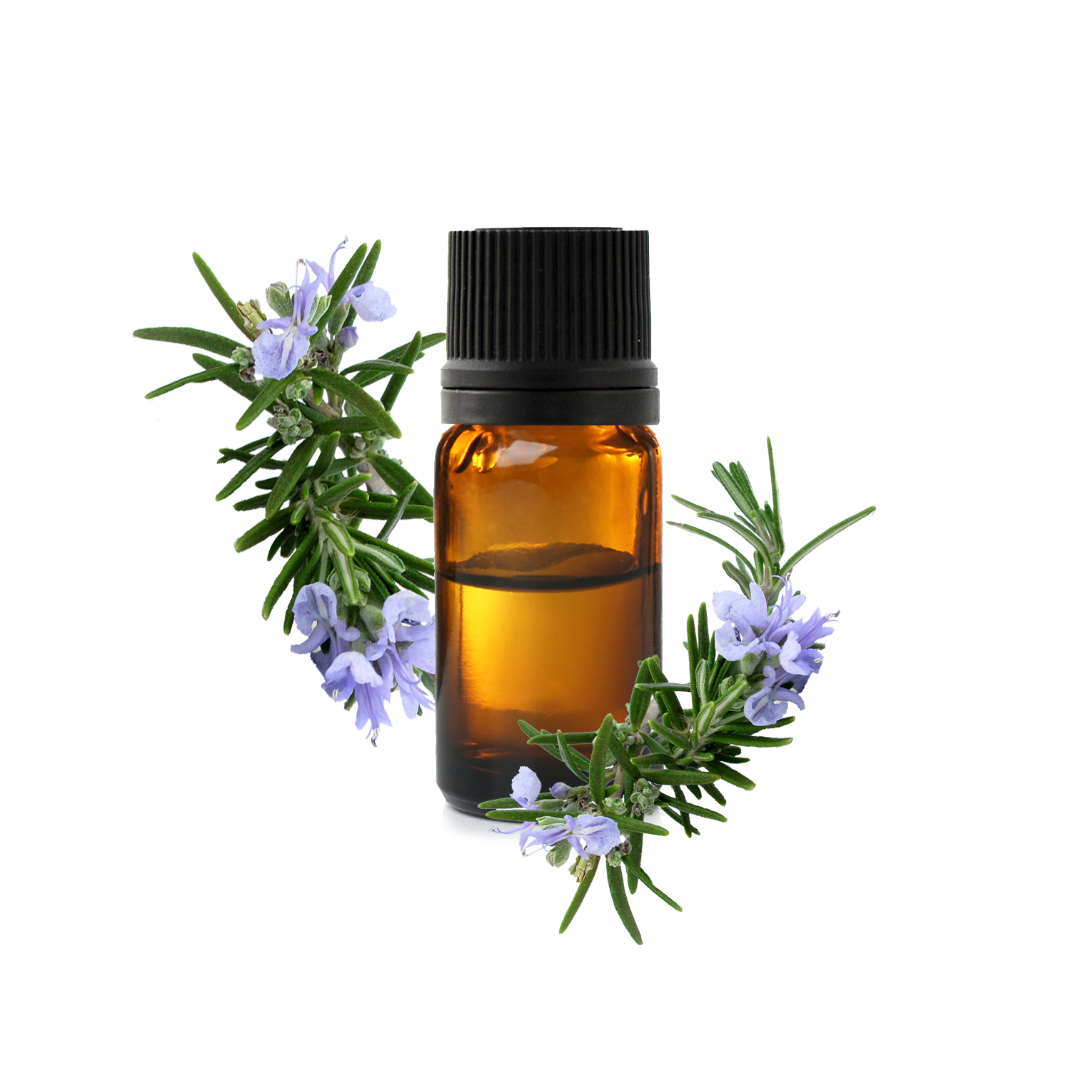 Huile Essentielle de Romarin Officinalis, Propriétés de l'Huile