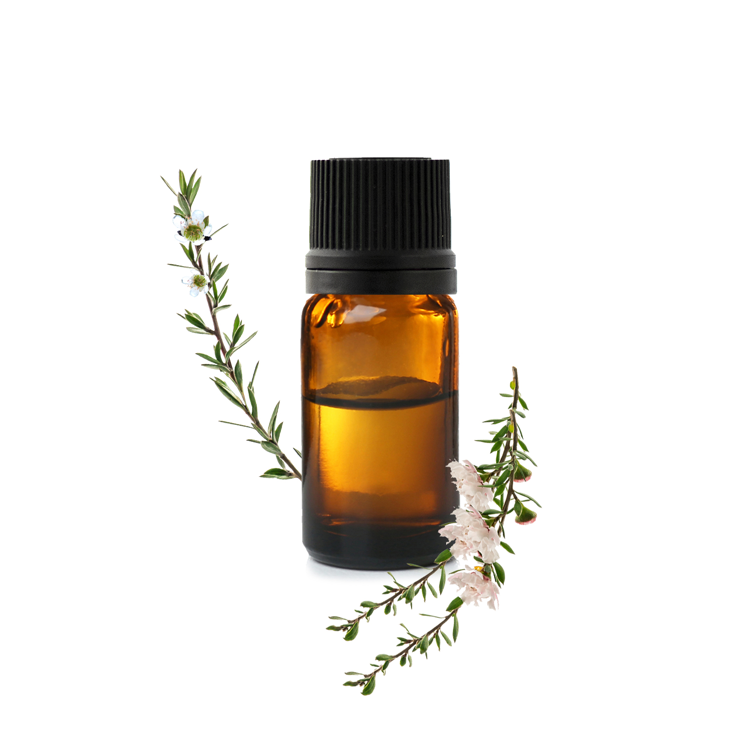 Huile essentielle de Tea Tree : comment l'utiliser correctement ?