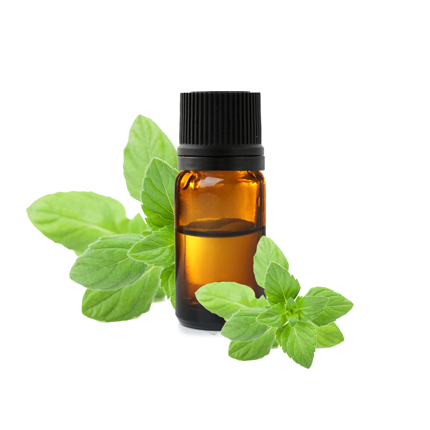 Huile essentielle de Menthe des Champs : comment l'utiliser