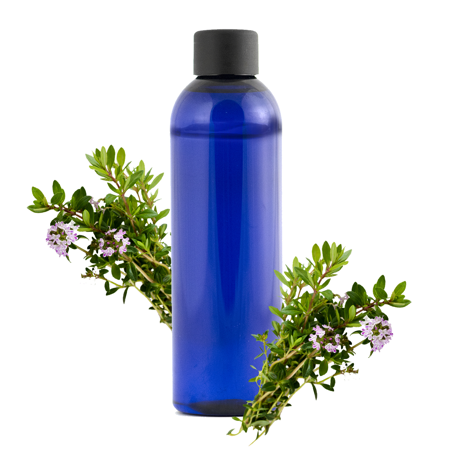 Hydrolat de Lavande officinale Bio – Les Sauvages