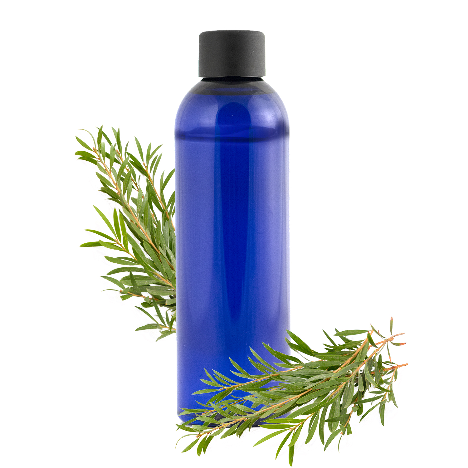 Hydrolat Tea Tree 100ml (melaleuca alternifolia) eau florale