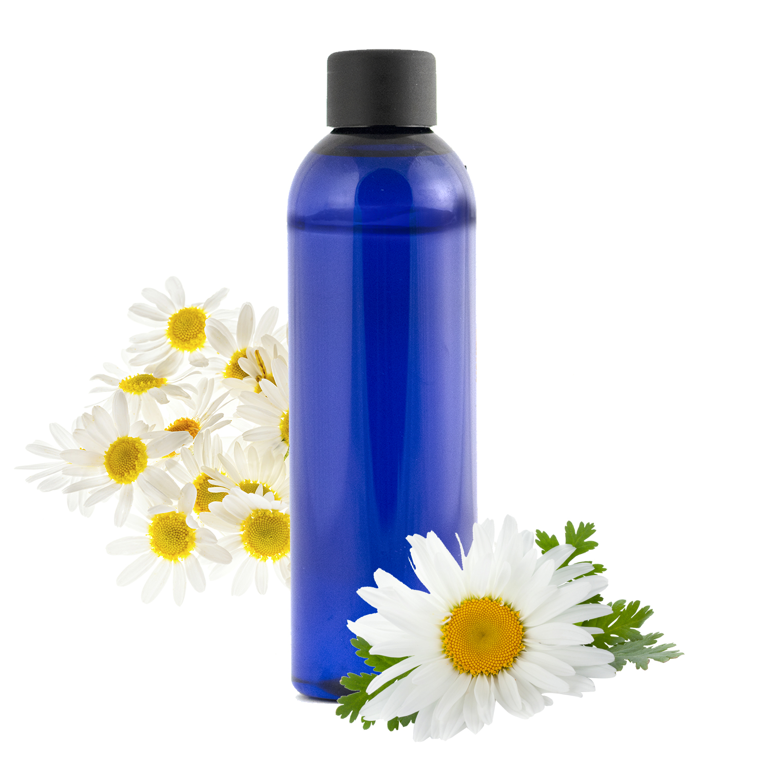 Hydrolat de camomille : un must have beauté