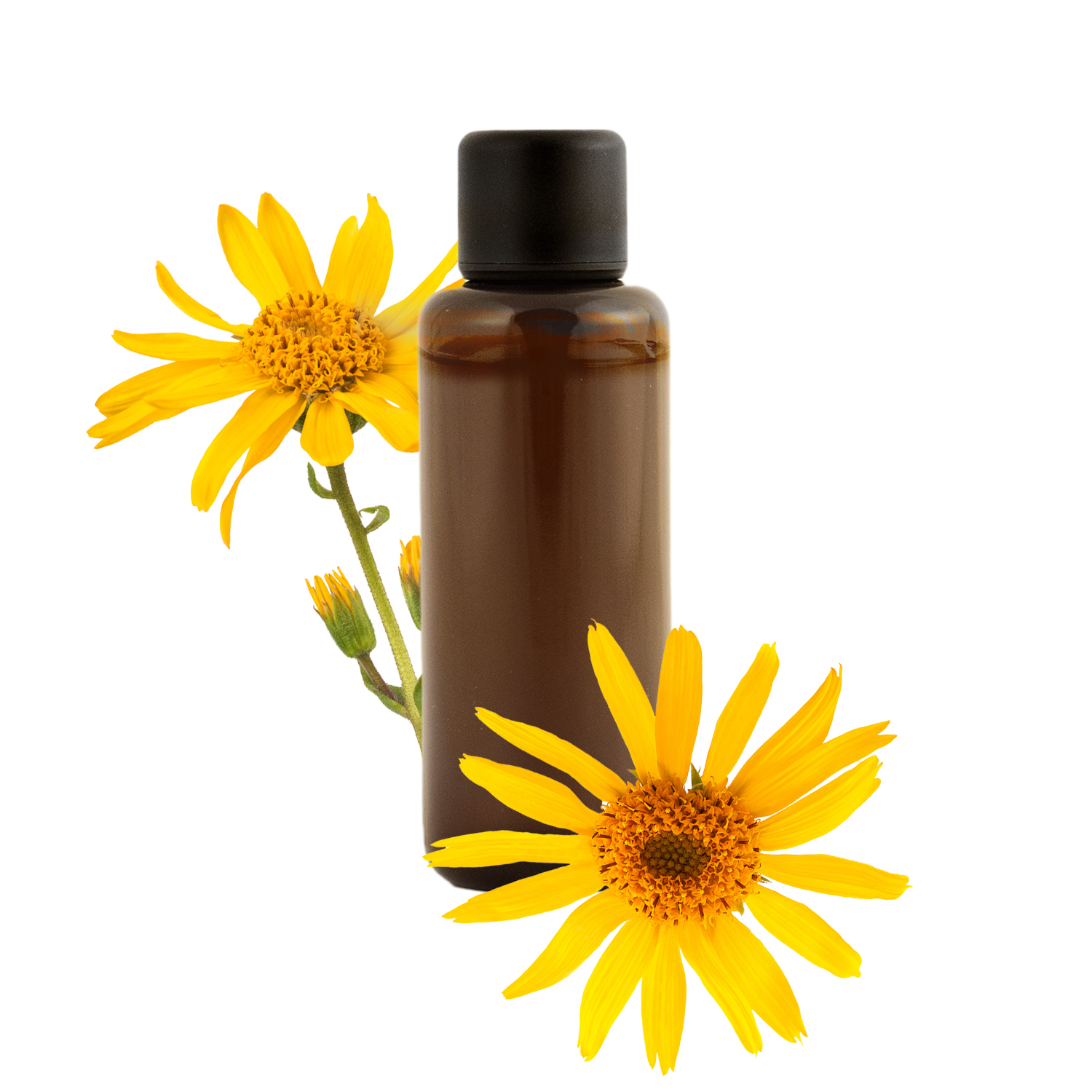 L'action anti-inflammatoire de l'huile essentielle d'arnica