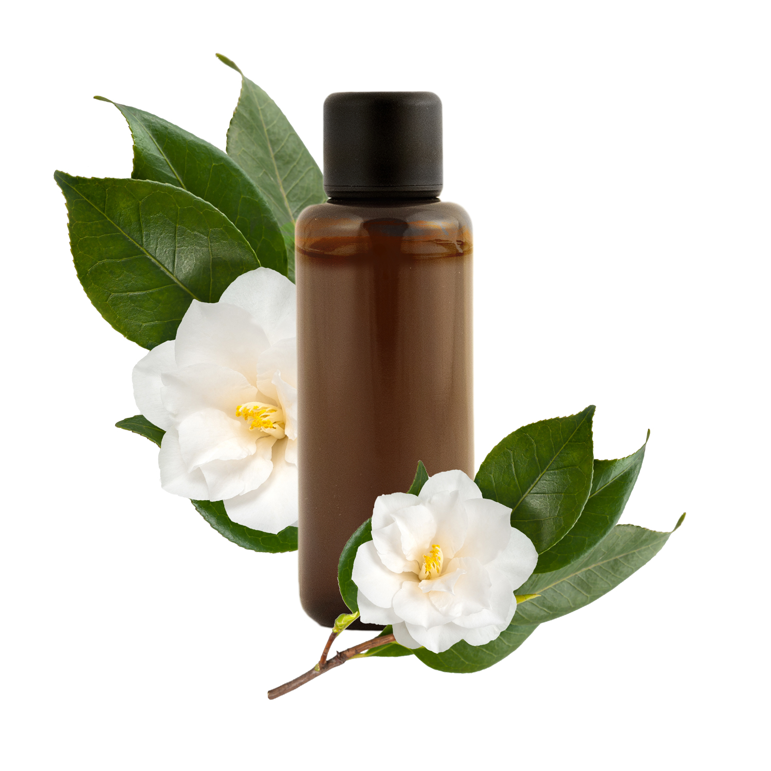 Huile visage Apaisante Camélia + Rose, Cosmétique naturel