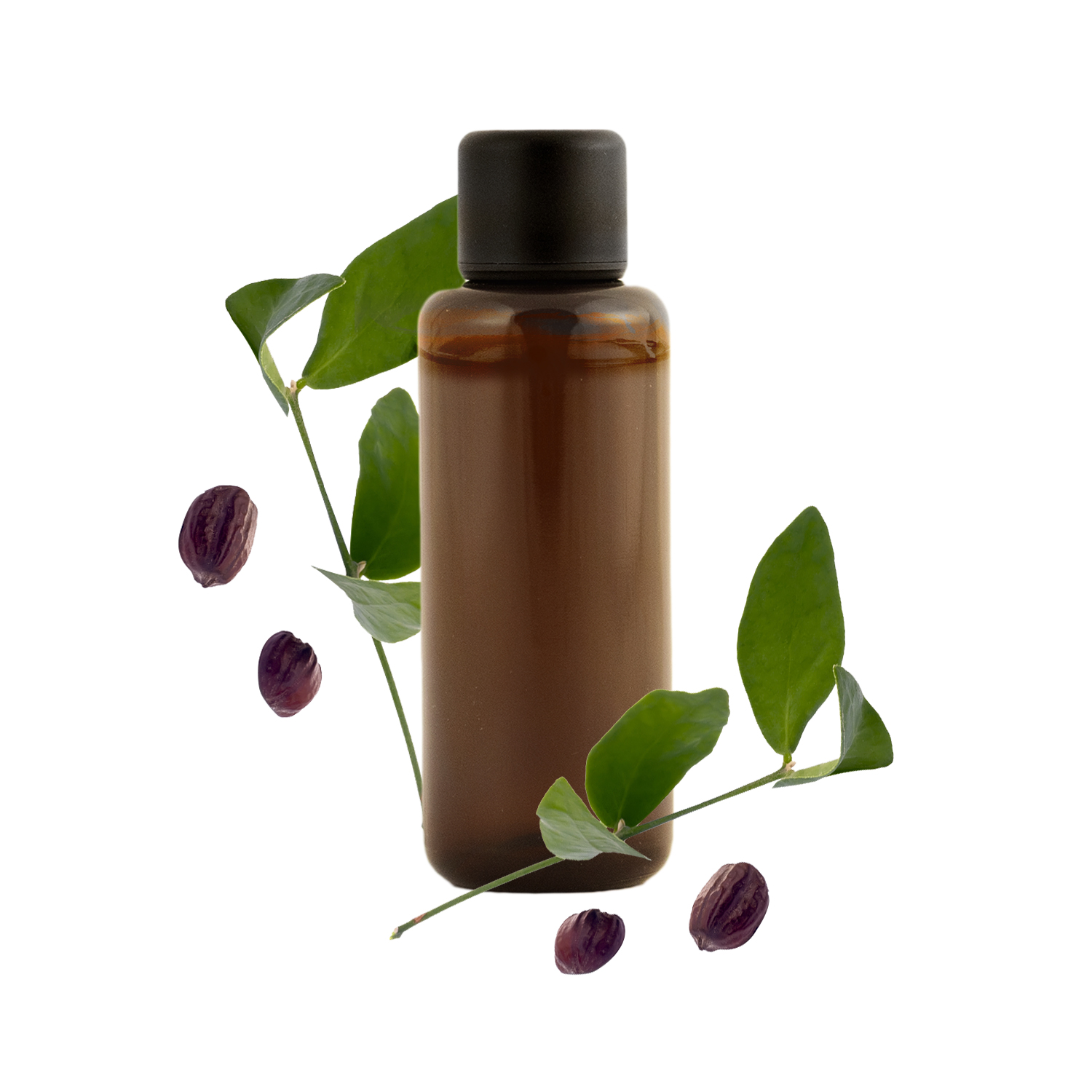 Huile de Jojoba BIO : bienfaits et utilisations - Aroma-Zone