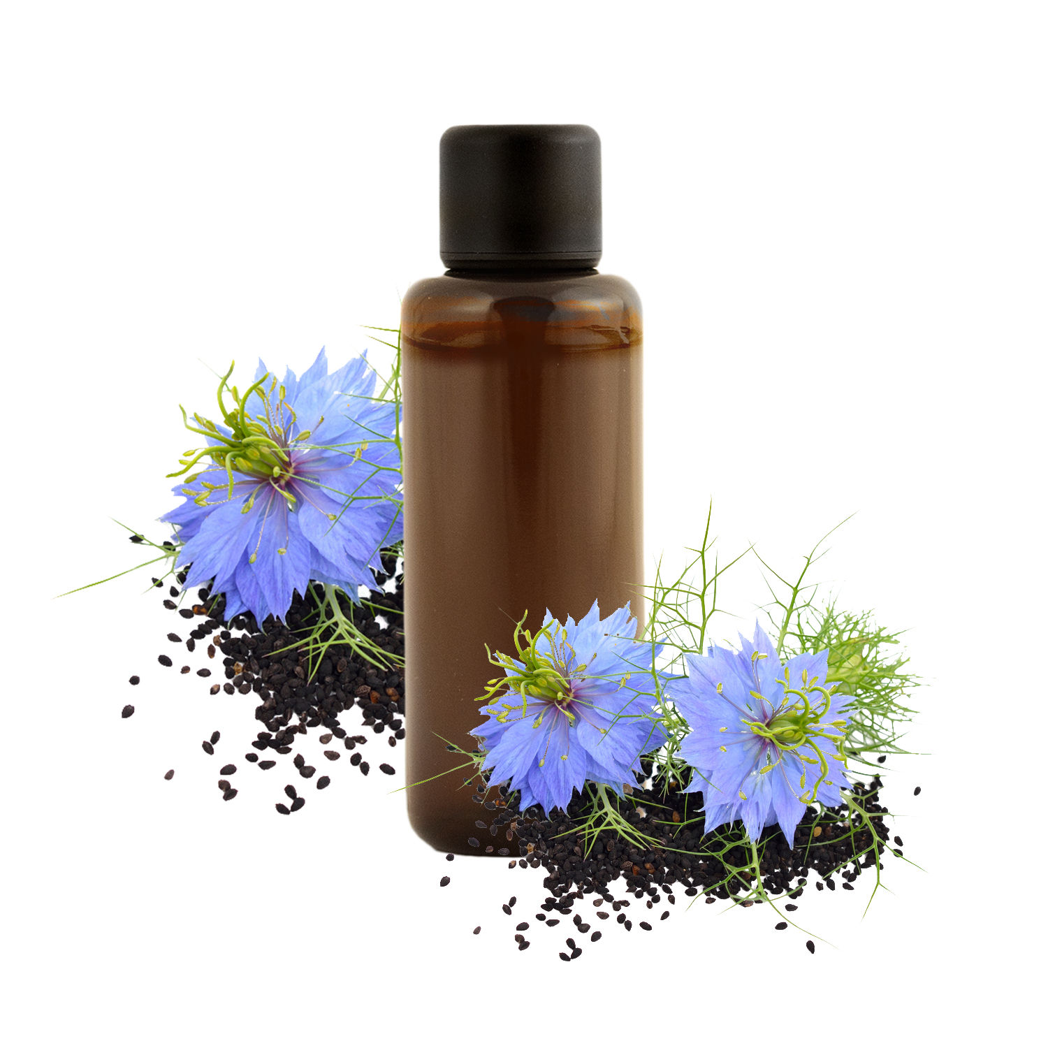 Huile végétale de Nigelle : bienfaits et utilisations en