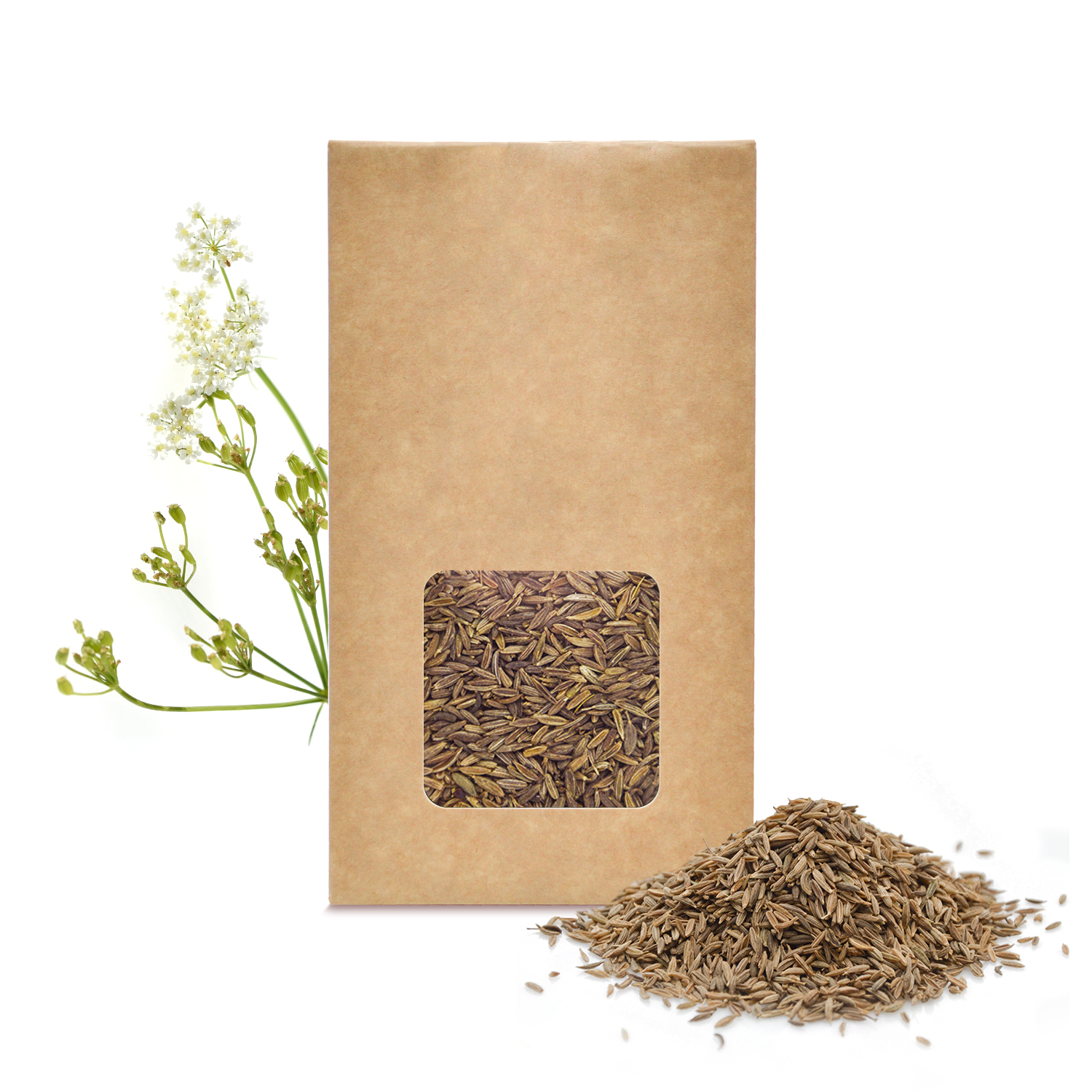 Tout savoir sur le cumin (Cuminum cyminum)